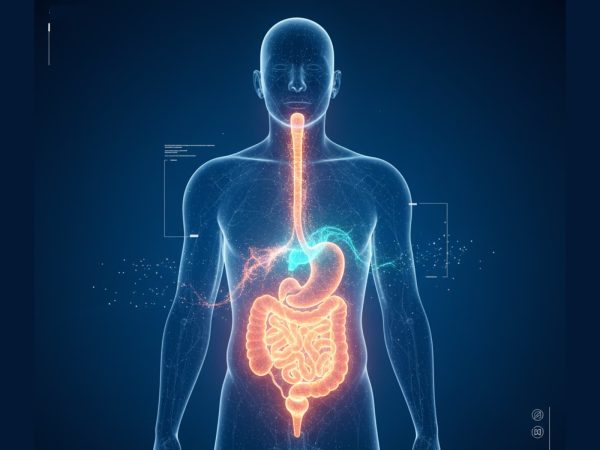 Principal PDV Diabesidad - reducida